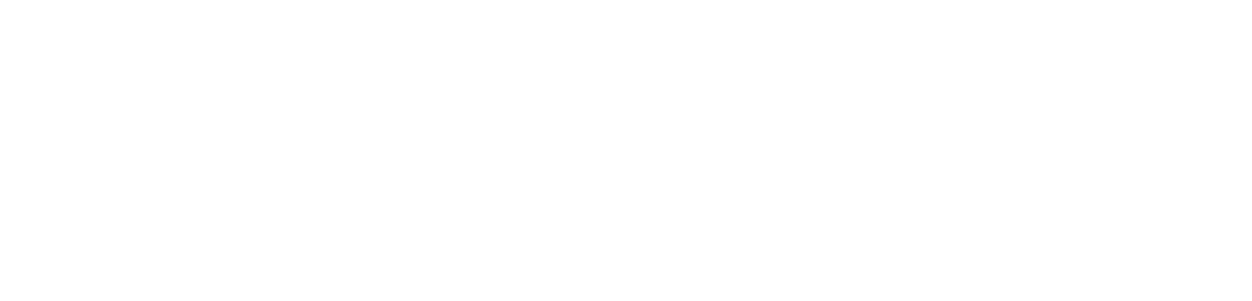 AMFS Logo
